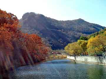 新澳天天开奖资料大全旅游团，重生之大亨